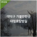 신탄진용정초등학교 | 대덕구 가볼만한곳, 대청호 주변 겨울청 문화재탐방