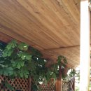 봄내멸치쌈밥 이미지