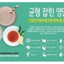 풍동점핑