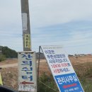 [안산 대부도 캠핑] 푸른섬 캠핑장 : 가족단위 방문추천 : 아이들이 놀기좋은