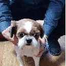 문경가축병원 이미지