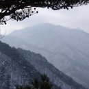 남전약수 Daum카페