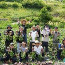 둔율올갱이영농조합법인 | 충북에서 살아보실분~ &#34;충북에서 살아보기&#34; 참가자 모집