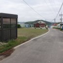 율곡천 6 Daum카페