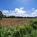 샛별목장 이미지