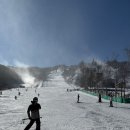 휘닉스 스노우파크 이미지