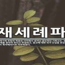 안양대학교 대신신학대학원 이미지