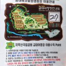 금대에코힐링캠핑장(주차장) 이미지