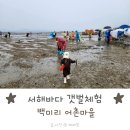 서해바다 갯벌체험 백미리 어촌체험마을 후기