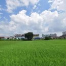 창포찜질방 이미지