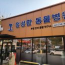 정성환동물병원