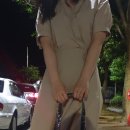 소프트심볼 이미지