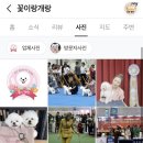 꽃이랑개랑 이미지