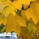 장말어린이공원 이미지