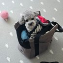 연당낚시터 이미지