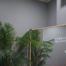 보니따필라테스성주점 | [창원] 성주동 필라테스 보니따필라테스 성주점 후기
