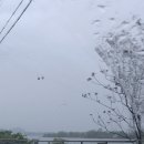 춘천 봄 여행 : 또따가족 2박 3일 / Day 1