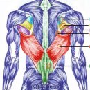 이룸 피티 존 이미지