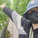 동읍1200 이미지