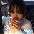 이춘식농장 이미지