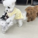 (주)바우라움 수원 캠퍼스 이미지