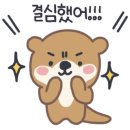 진영 실전합기도 이미지