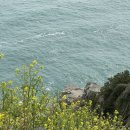 담을 | 오륙도 해맞이공원, 봄날의 부산을 가장 예쁘게 담을 수 있었던 곳 [서울촌놈 솔직후기!]