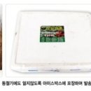 김영만농장 | 2013년 1월 아산장터 블러그 제품평가단 모집 안내