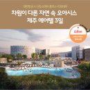 라이브여행사 이미지