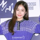 홍자몰