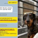 놀다가개유치원 국민일보