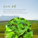진부령농원