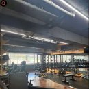 레이디 휘트니스 이미지