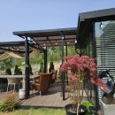 스테이포브 이미지