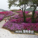 성호푸드