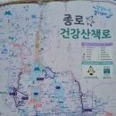 아까시 꽃잎 흩날리는 길을 달려