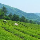 녹향월촌마을 이미지