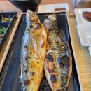 생선선생 이미지