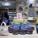 하우스(HAUS) 이미지