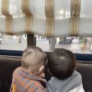[비엔나일상] 날씨 좋은 3월, 비엔나 일상 이야기 + 온라인에서 오프라인 만남도 함께!!