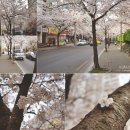 경원로R 네이버블로그