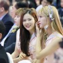 푸른달하루 Daum카페