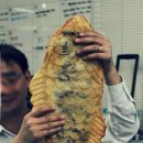 출출 - 서귀포시 | 출출