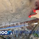 금성초등학교 이미지