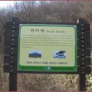 [1월 19일(월요일)]제주 오름 기행과 한담 해변산책로 이미지