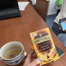 숙소/살레르노 가볼만한곳/살레르노 피자 맛집/비에트리 술 마레 프라이빗 해수욕장 Torre Crestarella...