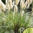 정원전설(주) 이미지