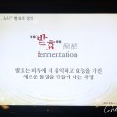 숨스토어 네이버블로그