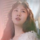 나비야~ 이미지