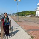 조양운수 이미지